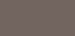 1010 Smokey Beige(煙熏淡棕)