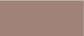 LC-2230 Desert Sand(沙漠沙)